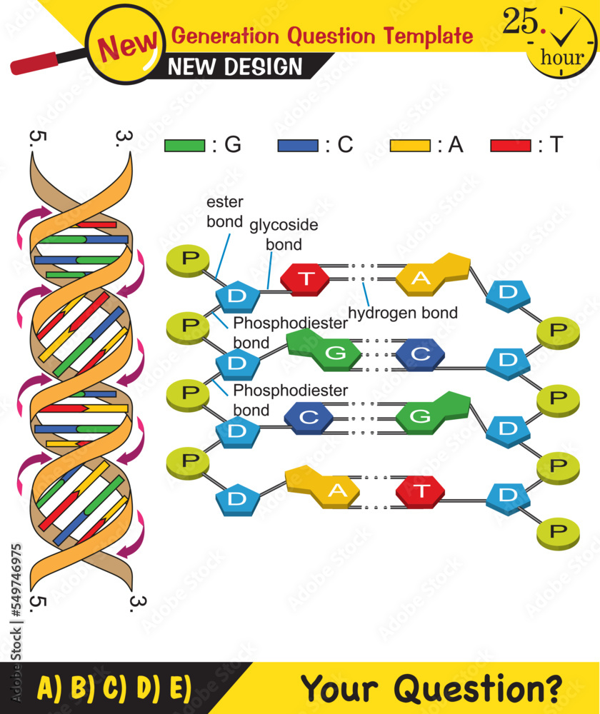 Biology - basic components of living things, sugar, phosphate, fat ...