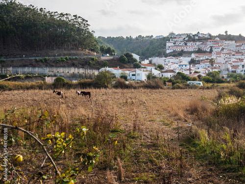 View of the Odeceixe, white houses traditional village and grass field with grazing horses. Alentejo, Portugal.