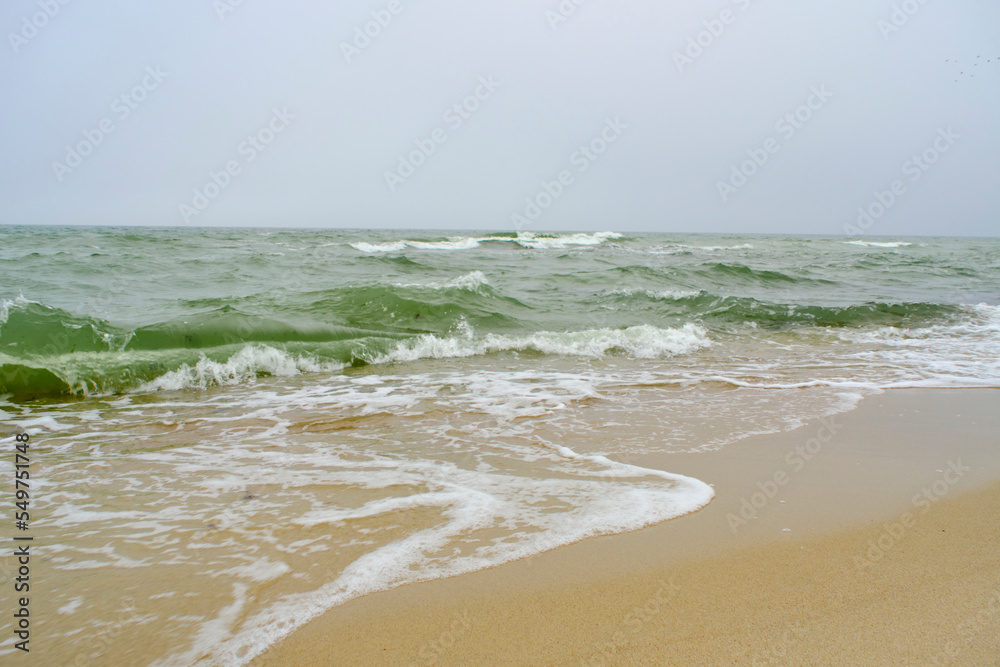 Beach Baltic Sea coast with quartz sand and rolling waves.
