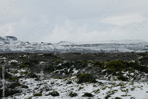 Lava field in Iceland covered in moss and snow © Vladimir