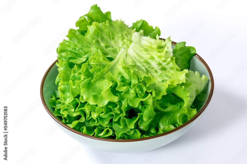 plat de feuilles de salade en gros plan isolé sur un fond blanc plat de feuilles de salade en gros plan isolé sur un fond blanc