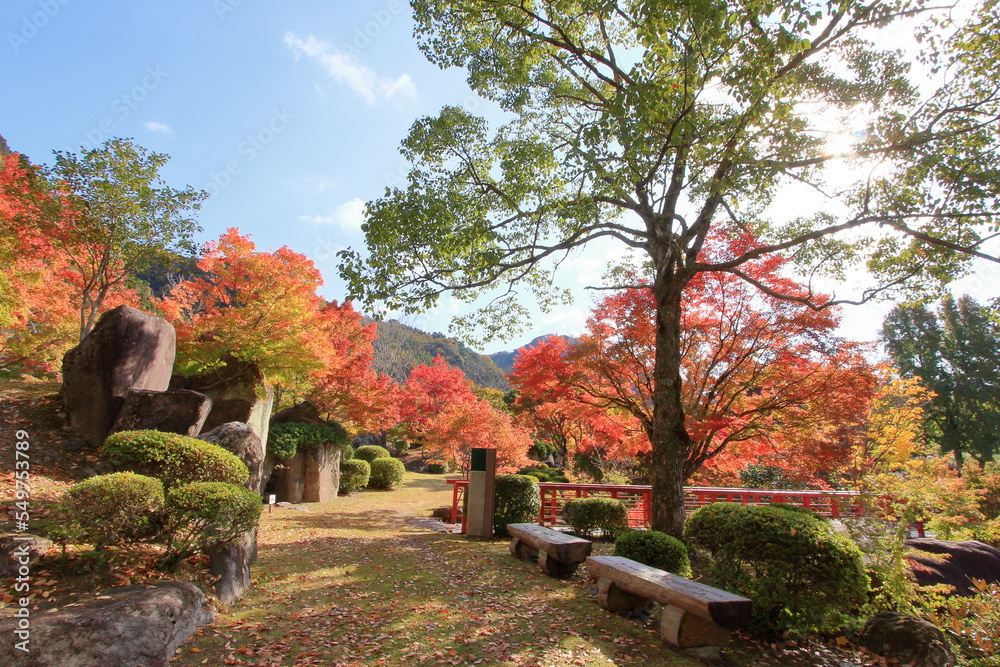 秋の日本庭園 秋の日本庭園