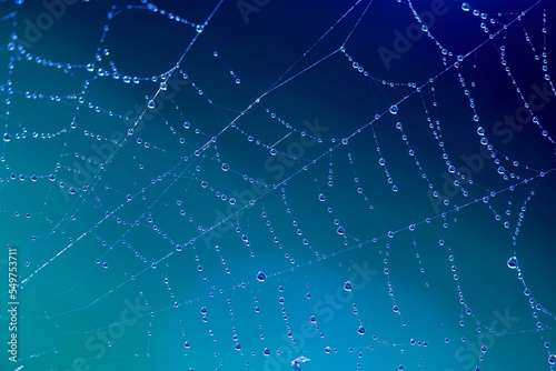 Spider web dew on the blue sky Fototapet