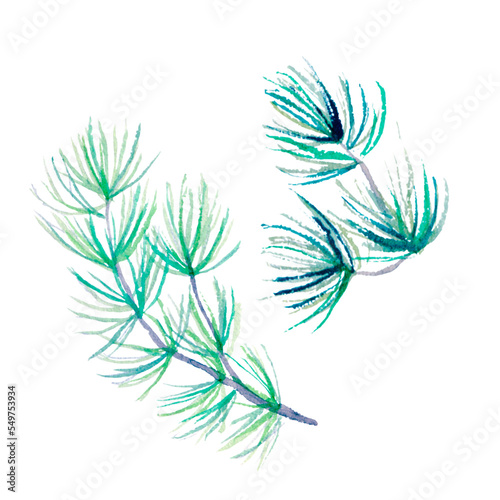 Watercolour pine needles branch isolated illustration on white background Hand painted Christmas clip art for design or print