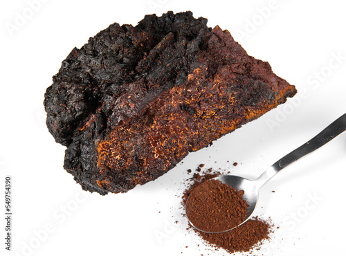 Картината върху платно Chaga Mushroom isolated - Powder and Spoon