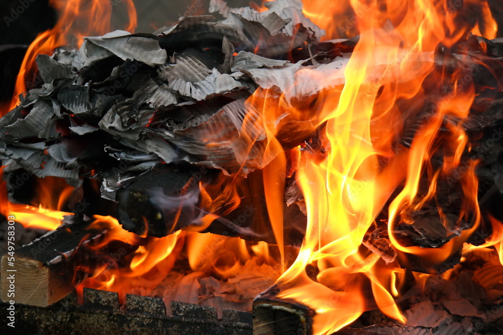 burning wood and paper. firewood is burning. tongues of flame. orange