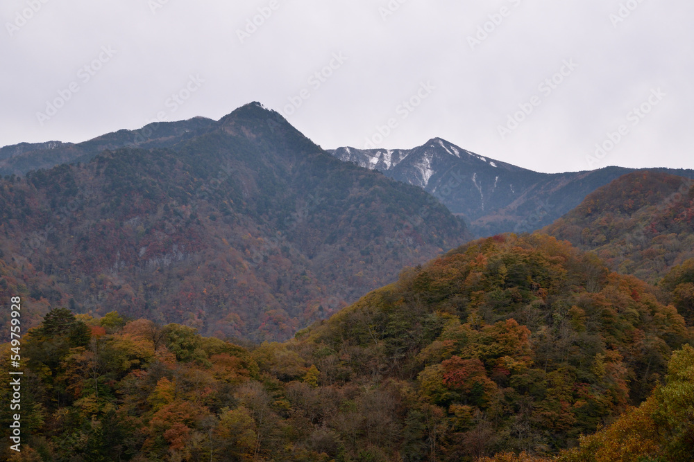 紅葉と雪の山々