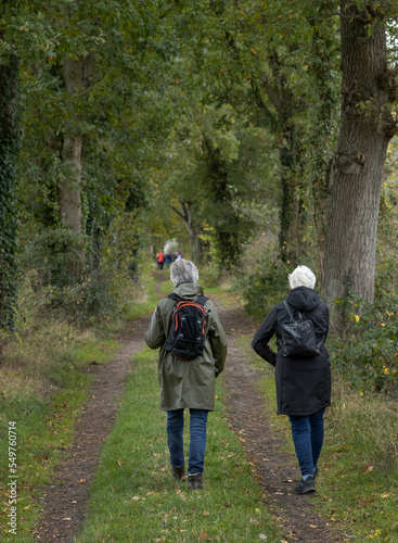 walkers in nature, reestdal, de wijk netherlands, strolling