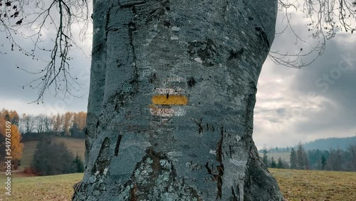 Close up of yellow hiking sign on an old tree. Trail Blazing Way Markers Painted on Tree. Slow motion 4K