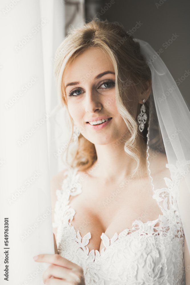 Gorgeous bride in robe posing and preparing for the wedding ceremony face in a room Gorgeous bride in robe posing and preparing for the wedding ceremony face in a room