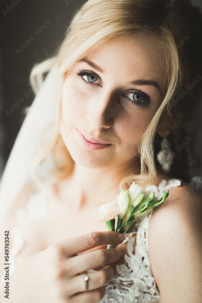 Gorgeous bride in robe posing and preparing for the wedding ceremony face in a room Gorgeous bride in robe posing and preparing for the wedding ceremony face in a room