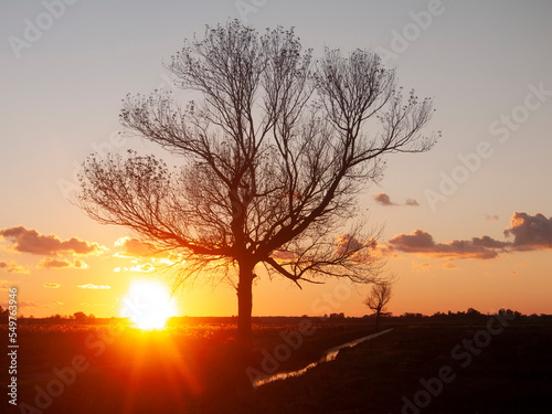 Italia, Toscana, Lucca, Lago di Massaciuccoli e oasi faunistica circostante.