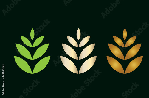 green plant wheat development process ripening simple logo concept