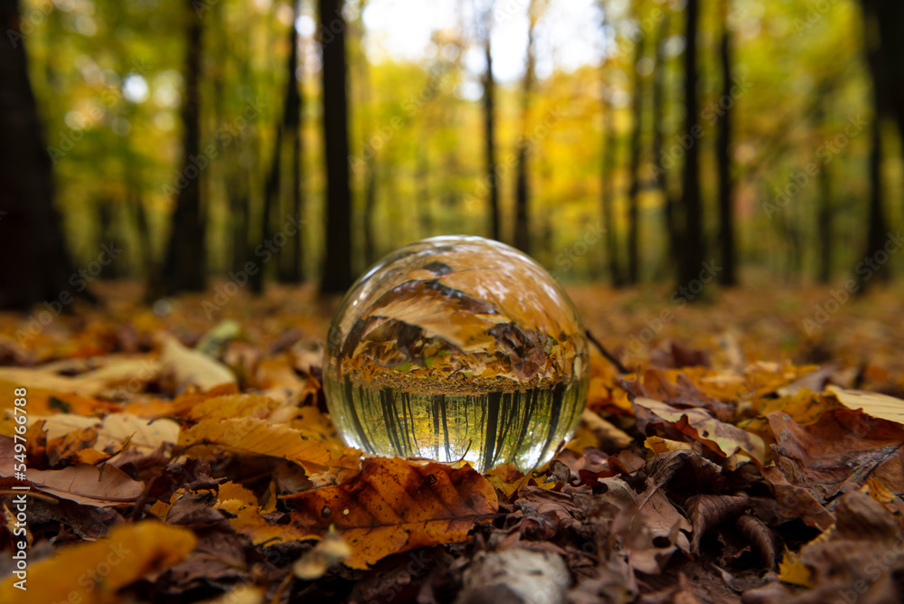 Nice crystal boll in autumn forest, abstract and nature Nice crystal boll in autumn forest, abstract and nature