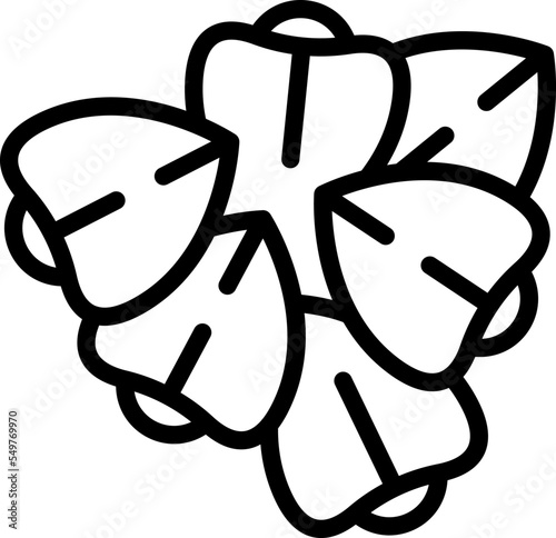 Buckwheat icon outline vector. Flower plant. Botanical seed