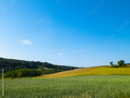 Landscape of meadow and hills in Wie  yca  Kashubian Region  Poland.