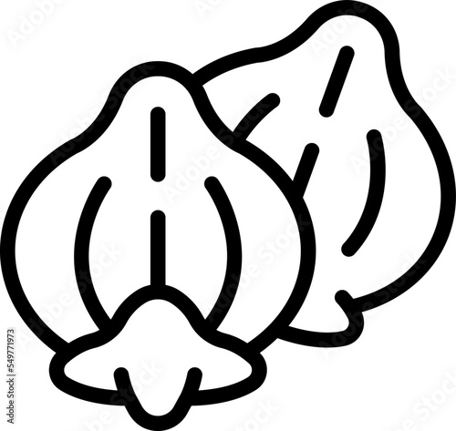 Cereal buckwheat icon outline vector. Flower plant. Nature organic
