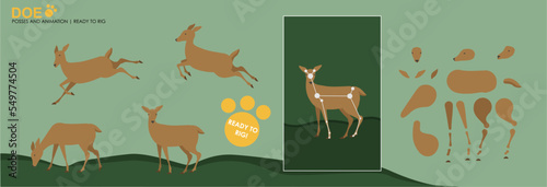 Cute Festive Woodland Reindeer ready to rig for animation, multiple poses, leaping, eating, Christmas scene, animation character. Xmas character for Christmas animations Forest animation