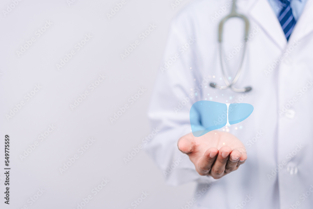 doctor in uniform hands holding liver organ virtual icon, hepatitis vaccination, liver cancer treatment. Health checkup concept. doctor in uniform hands holding liver organ virtual icon, hepatitis vaccination, liver cancer treatment. Health checkup concept.