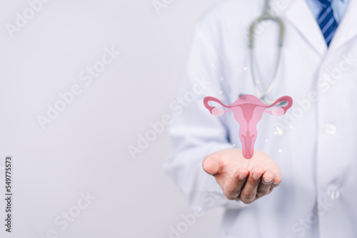 doctor in a white coat holding virtual uterus reproductive system , woman health, PCOS, ovary gynecologic and cervix cancer, Healthy feminine concept photo