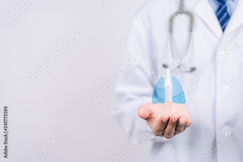 doctor hands holding lungs organ , world tuberculosis day, world no tobacco day, lung cancer, Pulmonary hypertension, copd, eco air pollution, pneumonia, donation, respiratory and chest concept