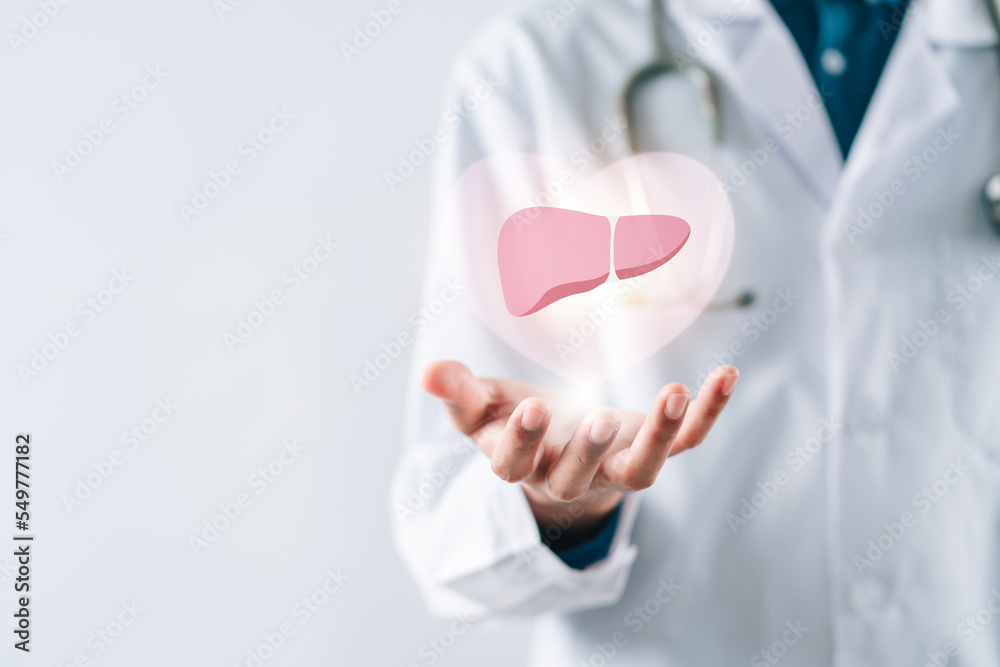 doctor in uniform hands holding liver organ virtual icon, hepatitis ...