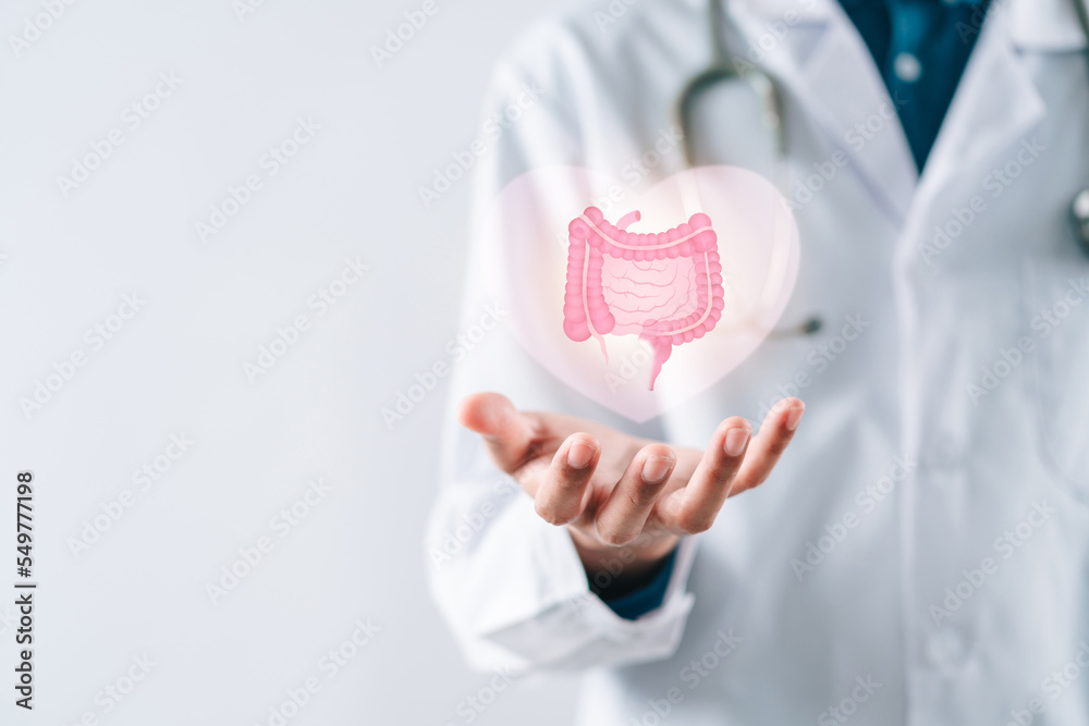 doctor in a white coat hands holding stomach with intestine virtual icon, probiotics food for
