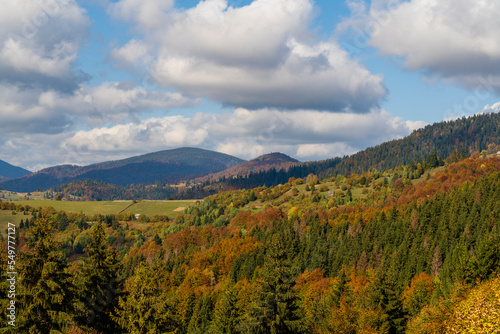 Beautiful autumn forest in the Carpathian mountains on a sunny autumn day on the Synevyr Pass ridge and blue sky background. Ukraine