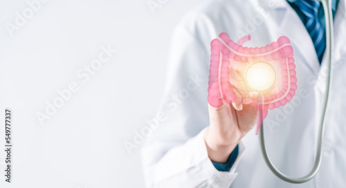 doctor in a white coat hands holding stomach with intestine virtual icon, probiotics food for gut health, colon cancer, bowel inflammatory. Health checkup concept. photo