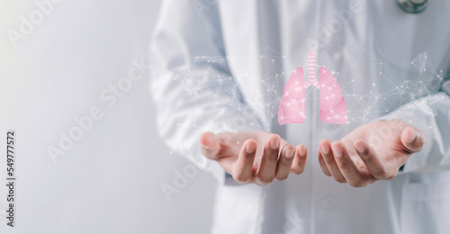 фотографія doctor hands holding lungs organ , world tuberculosis day, world no tobacco day,
