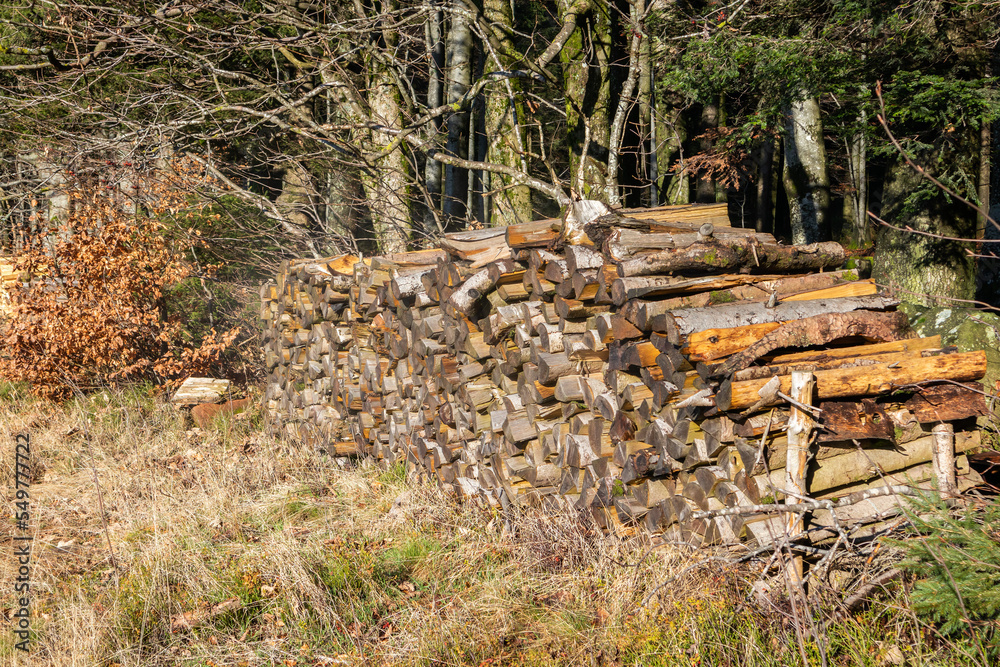 Brenholz | Feuerholz gelagert im Bayerischen Wald