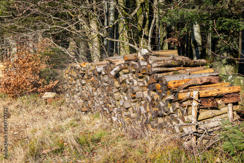 Brenholz | Feuerholz gelagert im Bayerischen Wald
