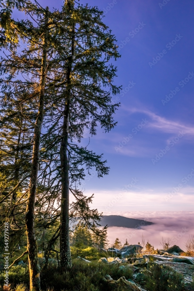 Die Käsplatte ist ein Berg im Bayerischen Wald mit Gipfelkreuz bei St. Englmar