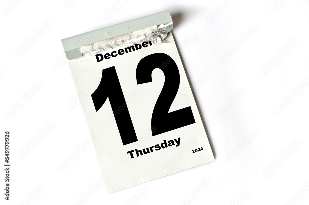 12 December 2024 12 December 2024