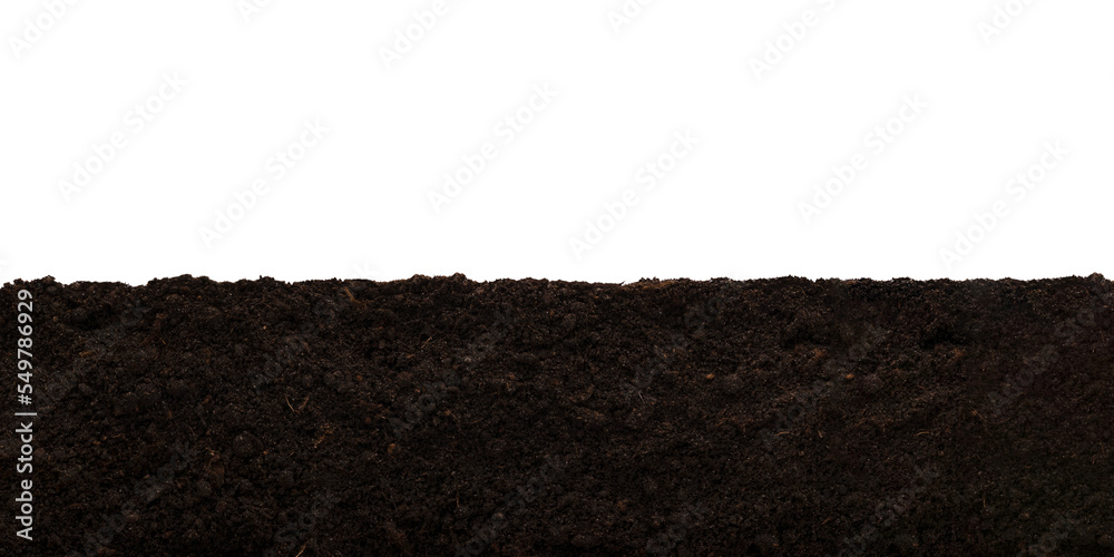 Wide layer of garden brown soil isolated on a transparent background. - obrazy, fototapety, plakaty 