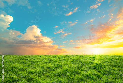 green grass field landscape and sunset sky