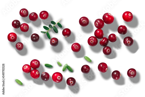 Cranberries Vaccinium oxycoccus top view isolated png