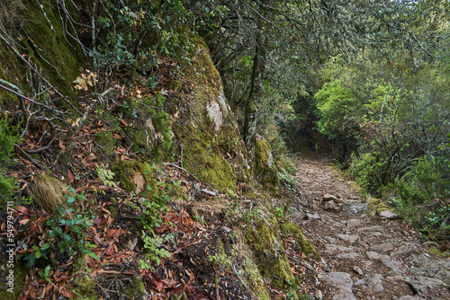 Spelunca Gorge is a popular destination for hiking