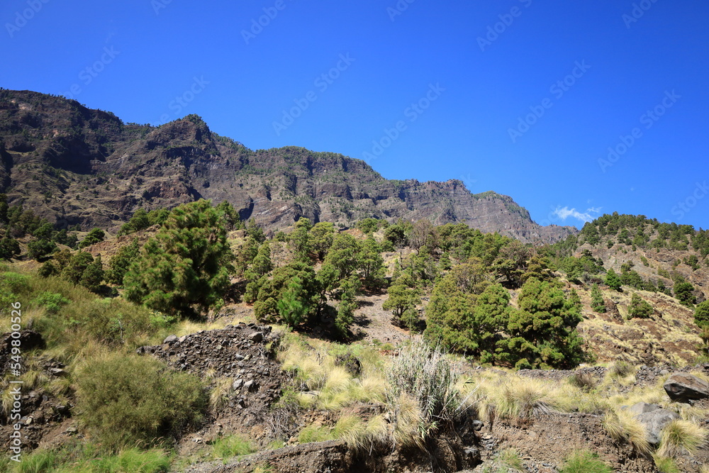View on the Taburiente Caldera National Park In La Palma
View on the Taburiente Caldera National Park In La Palma