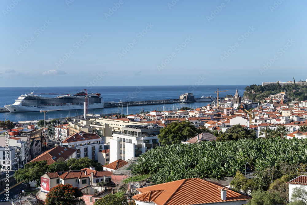 aerial cityscape of historical town with banana plantation and cruise ship at harbor, Funchal, Madeira