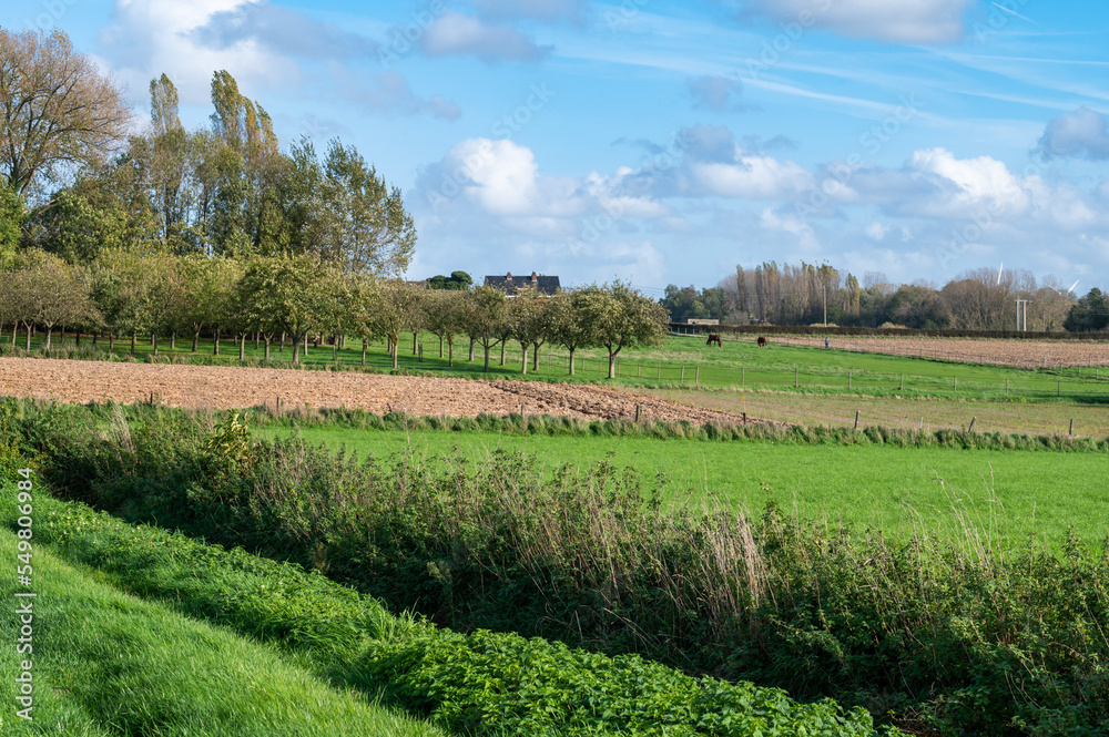 Green agriculture fields at the Flemish countryside, Asse, Belgium Green agriculture fields at the Flemish countryside, Asse, Belgium