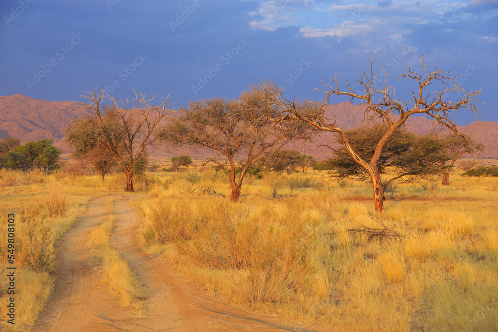 African landscape, savannah during beautiful sunset. Solitaire, Namibia.