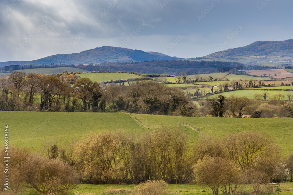 Landscape with mountains, green fields and trees. Panoramic view of the Mourne Mountains. Northern Ireland, UK