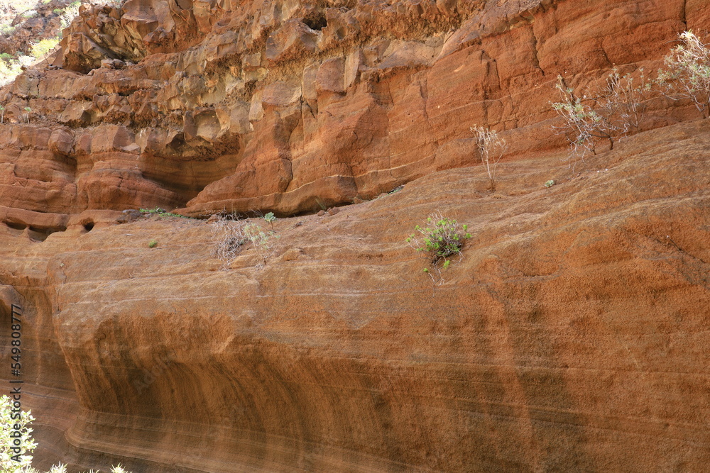 Naklejka premium View in the Cow Gorge in center of Gran Canaria
