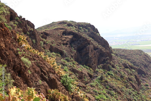 Cave of Four Gates is a complex of caves in the south of the municipality of Telde, Gran Canaria.