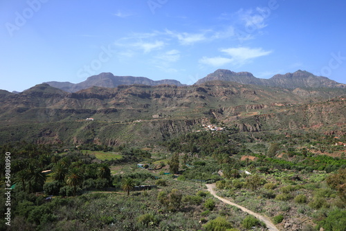 View on a mountain in the Pilancones Natural Park of Gran Canaria photo