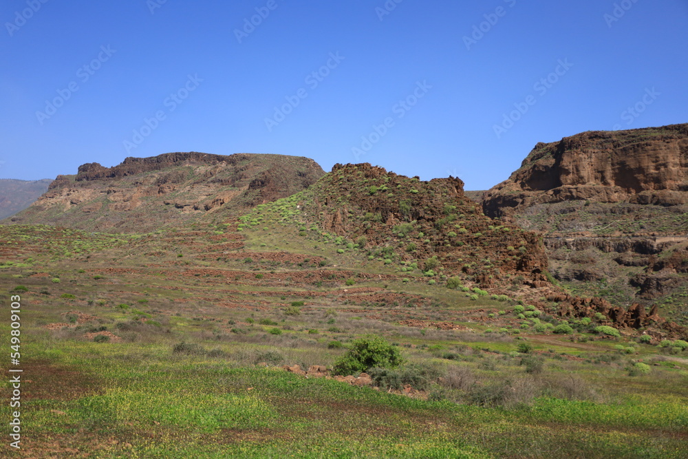 View on a mountain in the Pilancones Natural Park of Gran Canaria View on a mountain in the Pilancones Natural Park of Gran Canaria
