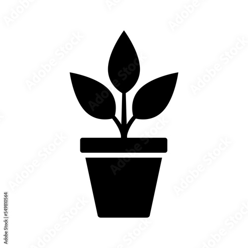 Black bush potted plant icon. Silhouette growing home plants and seedlings for decorating interior with natural decor and planting with cultivation in vector garden