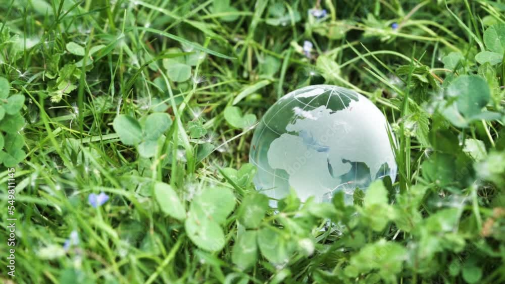 earth protection and sustainable ecology development