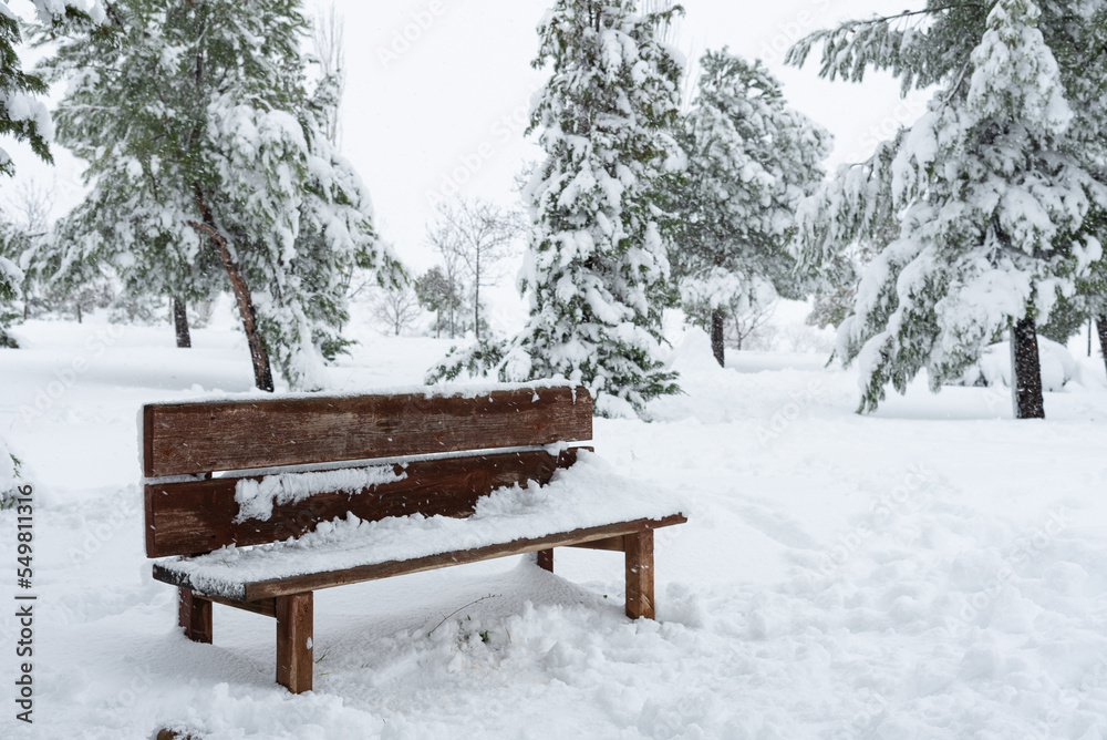 Landscape of a wooden bench surrounded by trees covered by heavy snow in a park